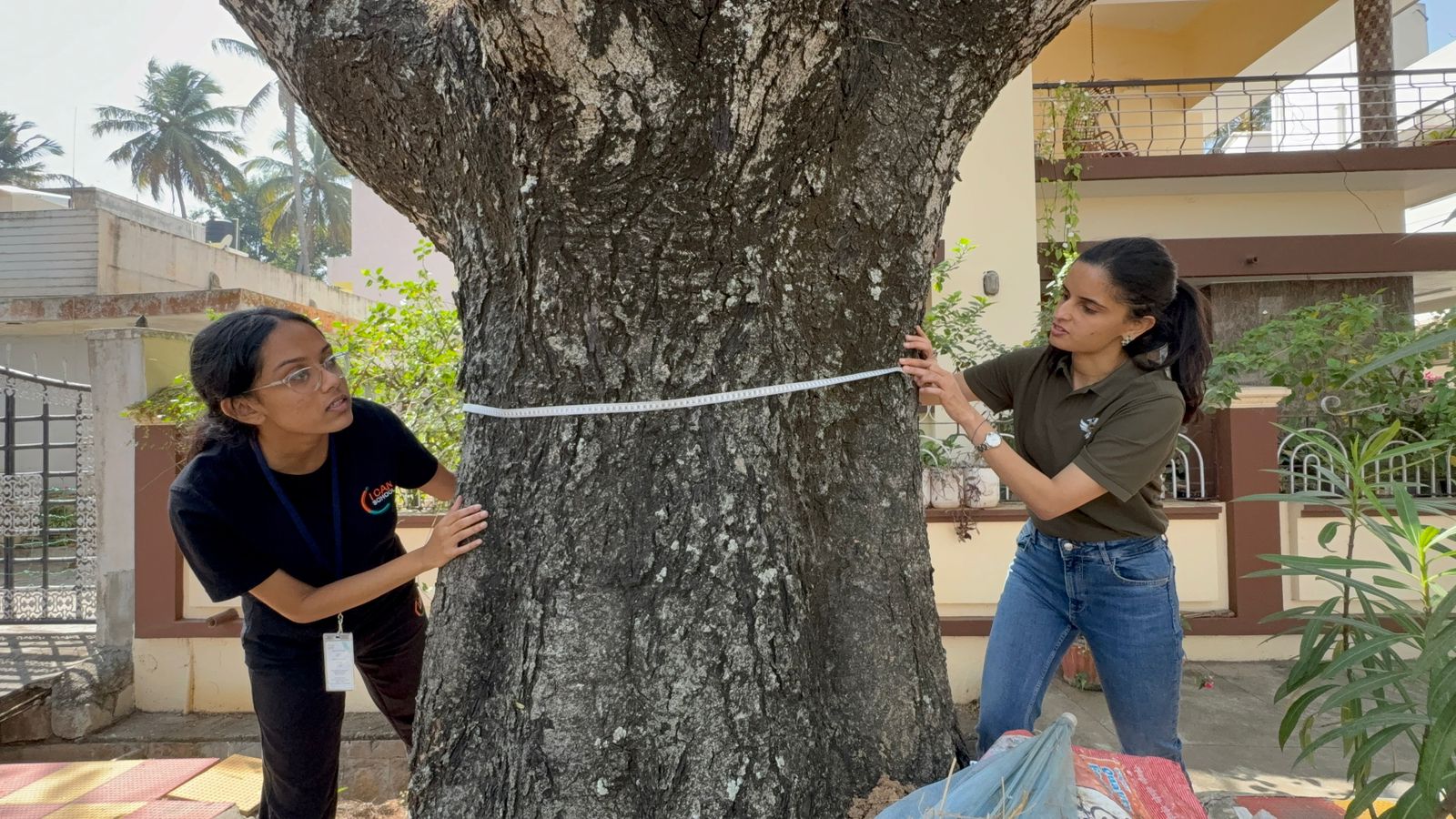 Measuring tree girth