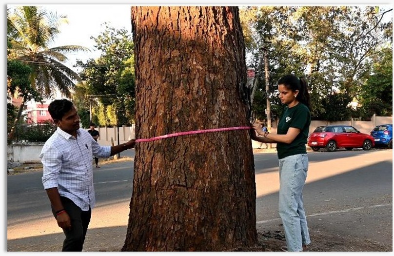 Documenting street trees